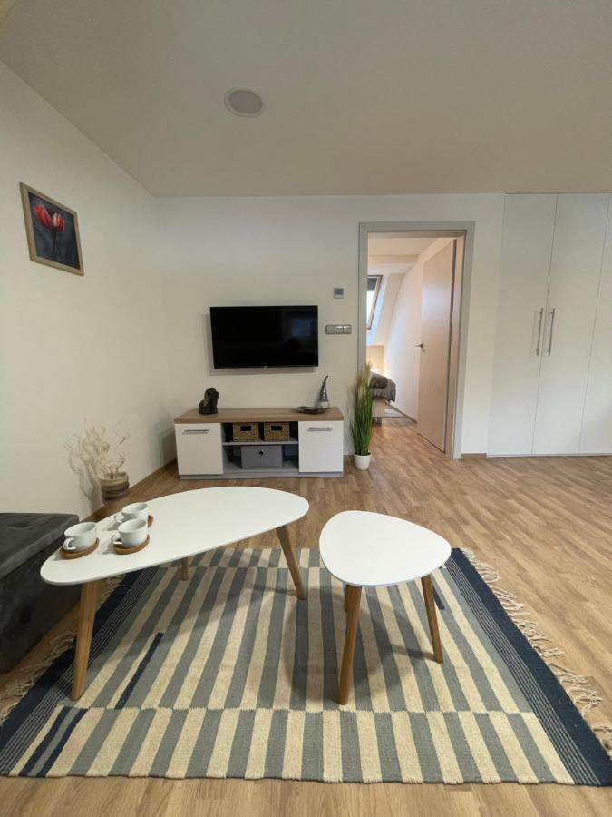 Apartmány Herc Jáchymov Esterno foto