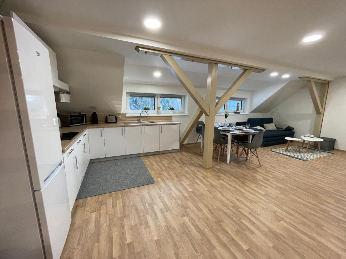 Apartmány Herc Jáchymov Esterno foto
