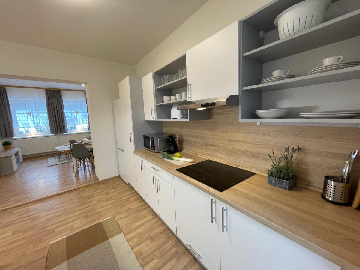 Apartmány Herc Jáchymov Esterno foto