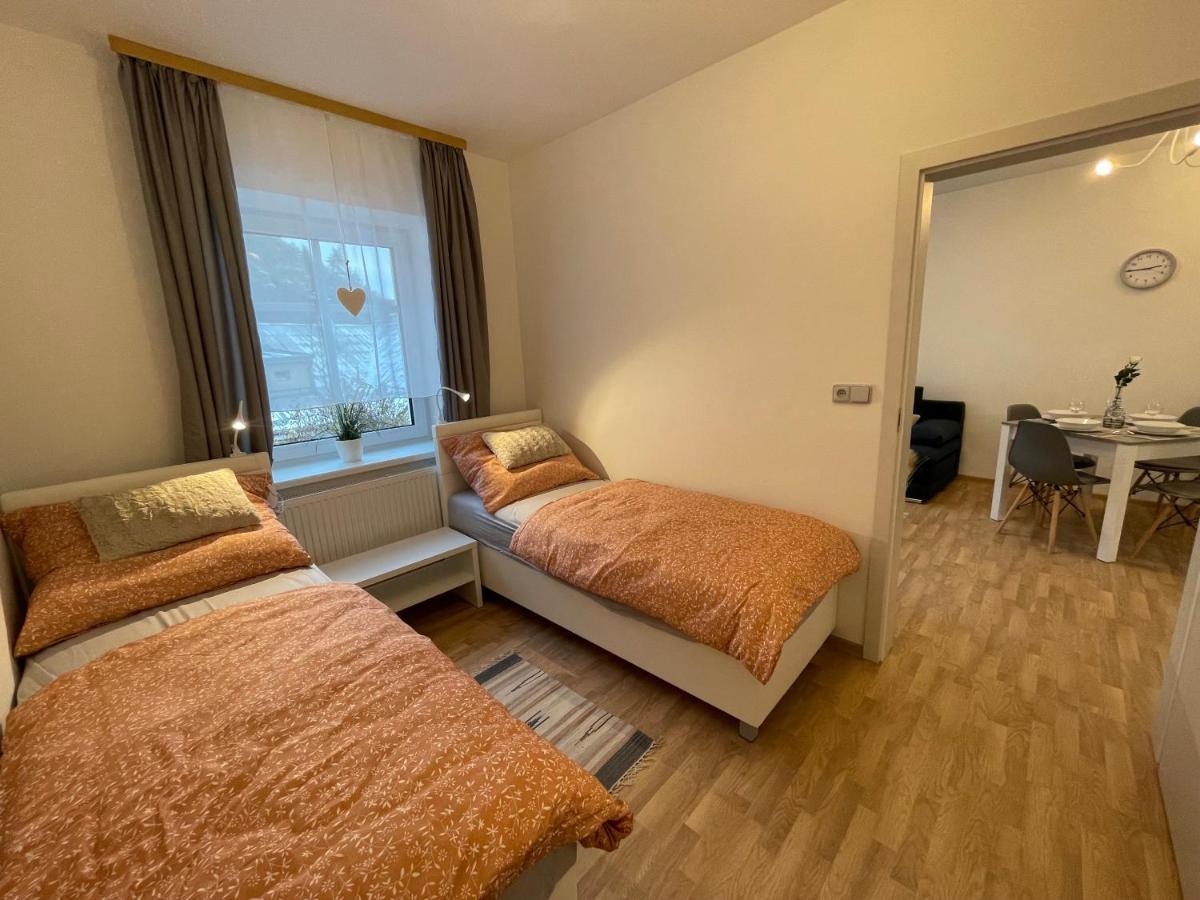 Apartmány Herc Jáchymov Esterno foto