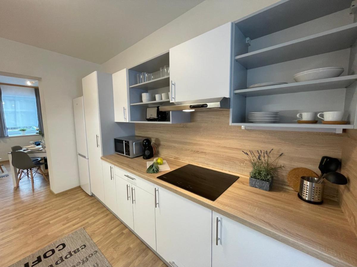 Apartmány Herc Jáchymov Esterno foto