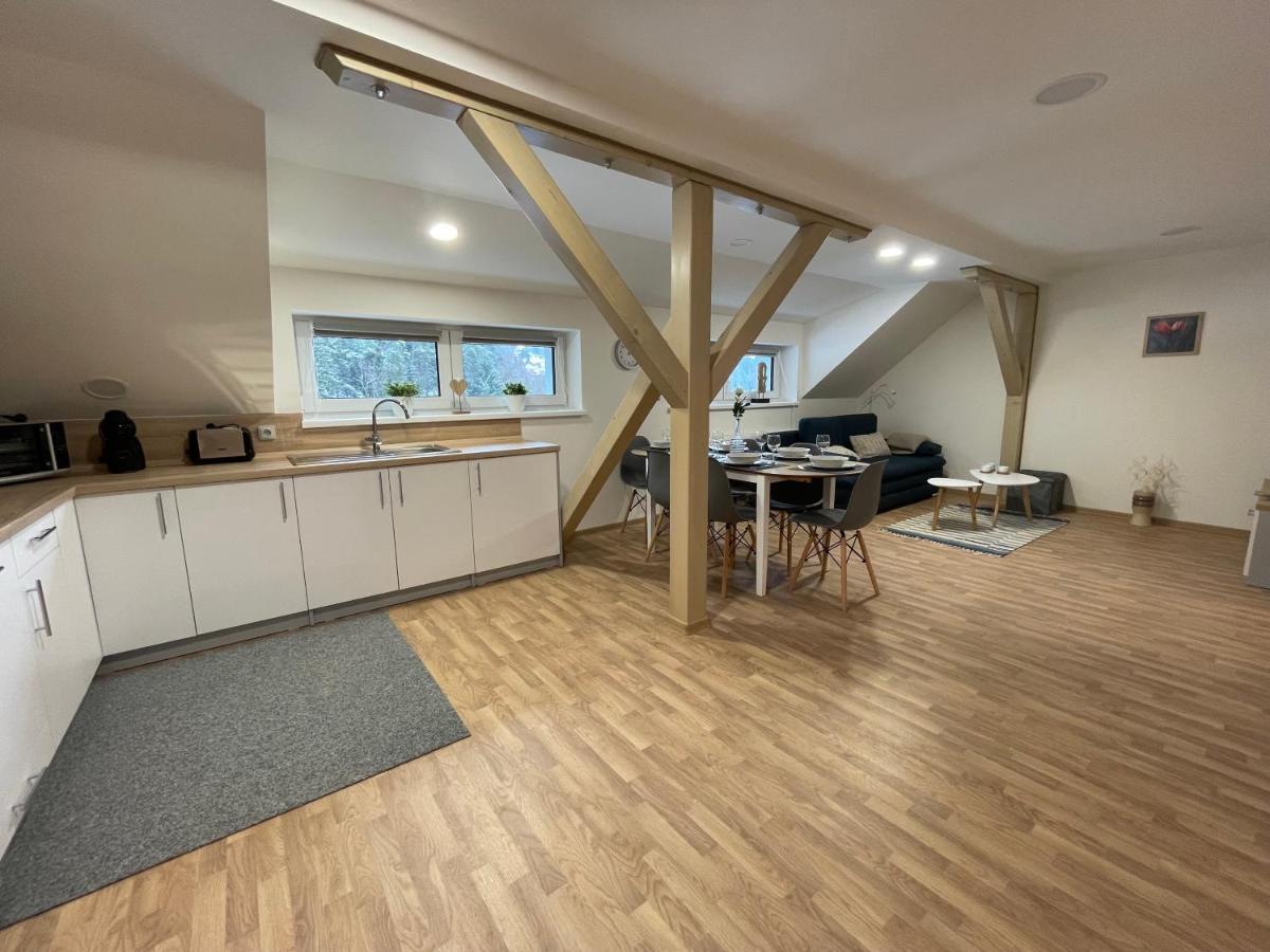 Apartmány Herc Jáchymov Esterno foto