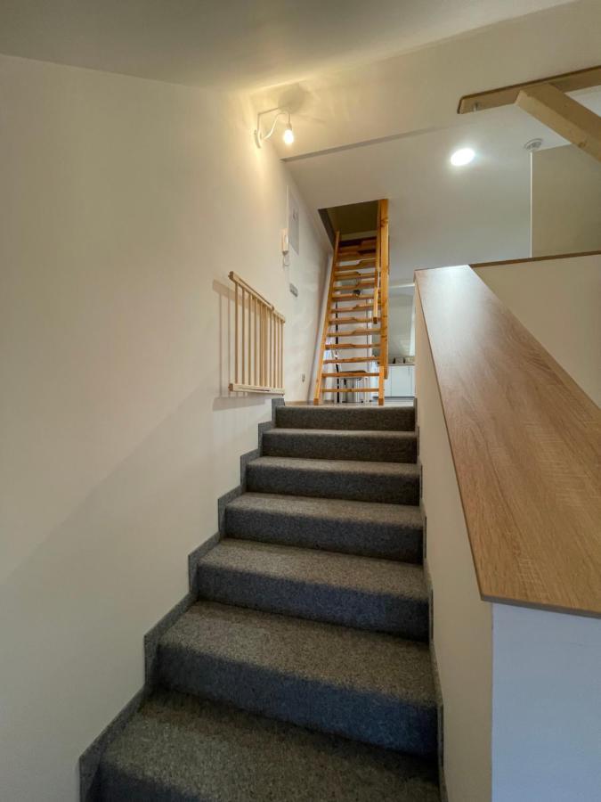Apartmány Herc Jáchymov Esterno foto