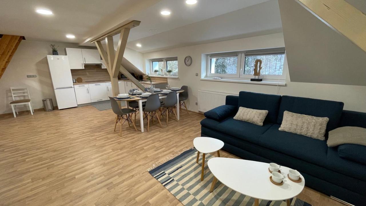 Apartmány Herc Jáchymov Esterno foto