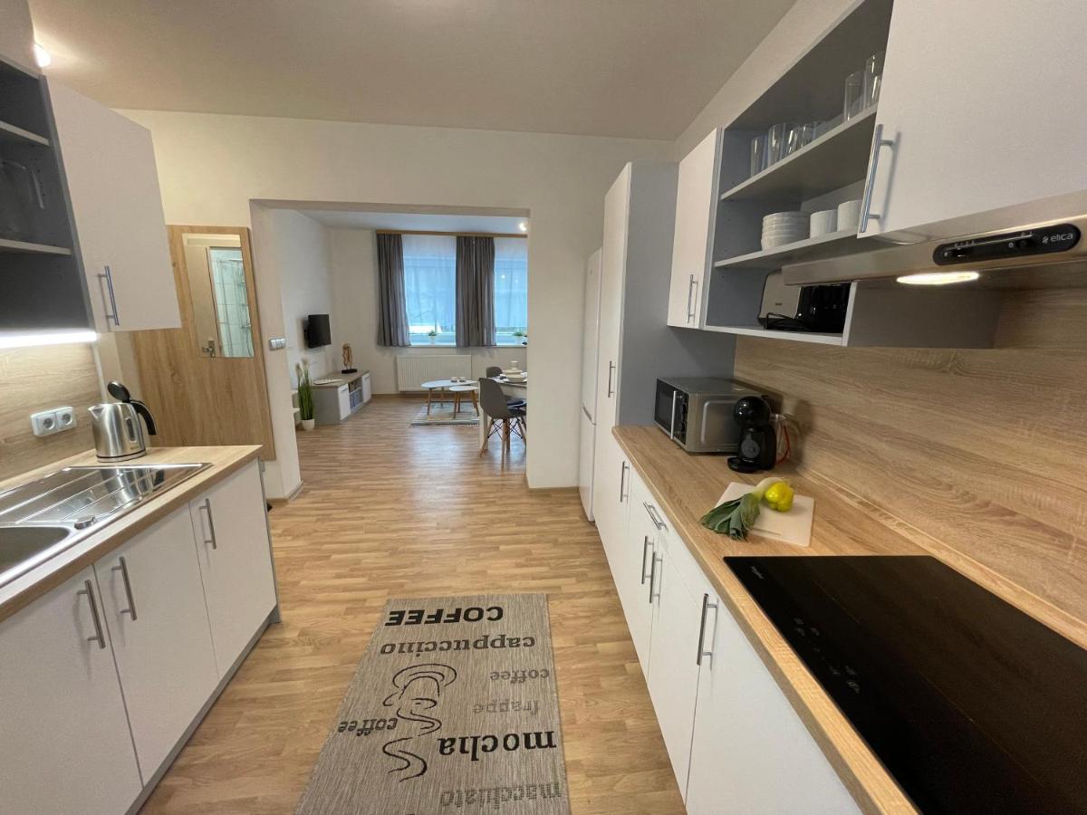 Apartmány Herc Jáchymov Esterno foto