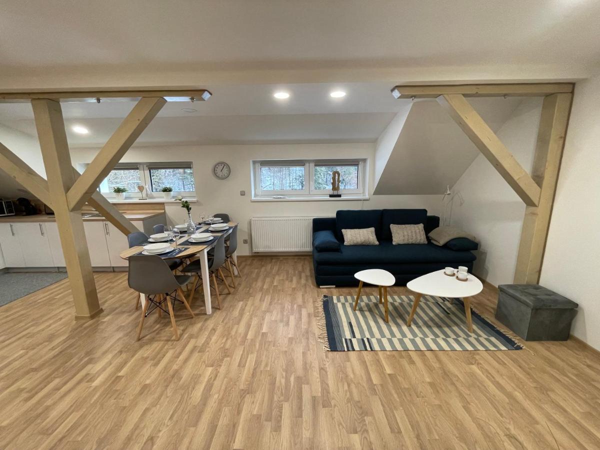 Apartmány Herc Jáchymov Esterno foto